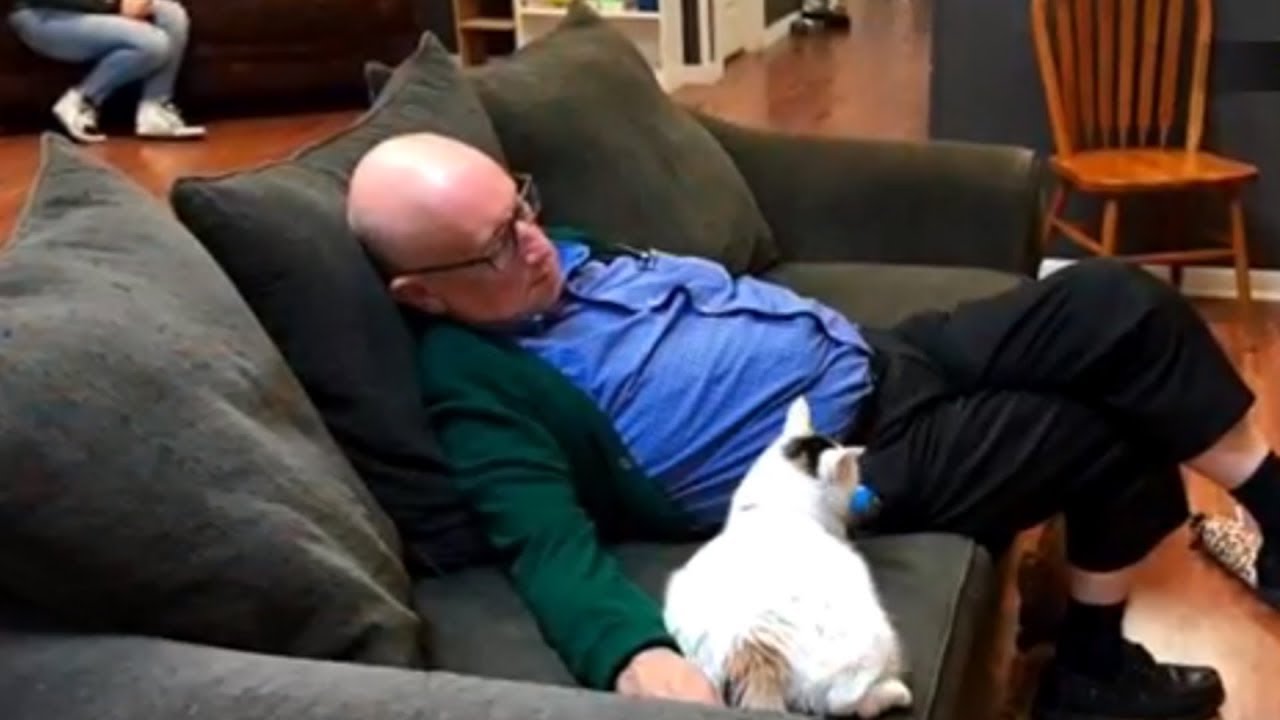 Cat Grandpa Gets Caught Falling Asleep with Furry Friend, Plus More Trending Headlines