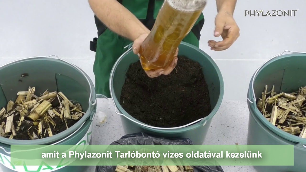 Így tűnik el a kukorica szármaradványa 2 hónap alatt