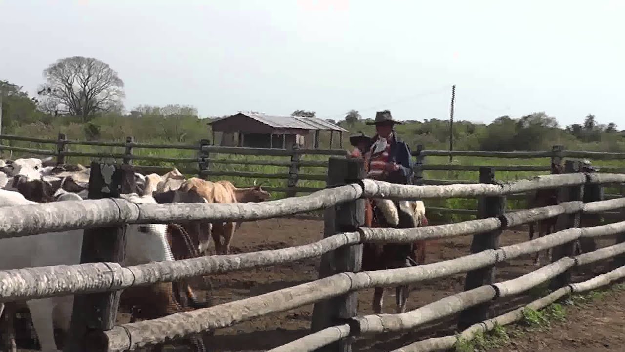 PY PRODUCTIVO ESTANCIA ALGARROBO 11 10 2014