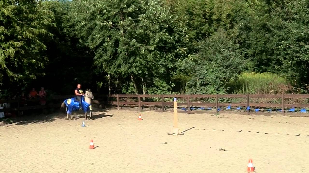 Ponyclub Ritterfest 2013 - Ritterspiele 6/8