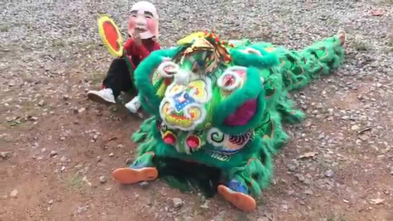 เชิดสิงโตงานบวชพระนุ๊ก