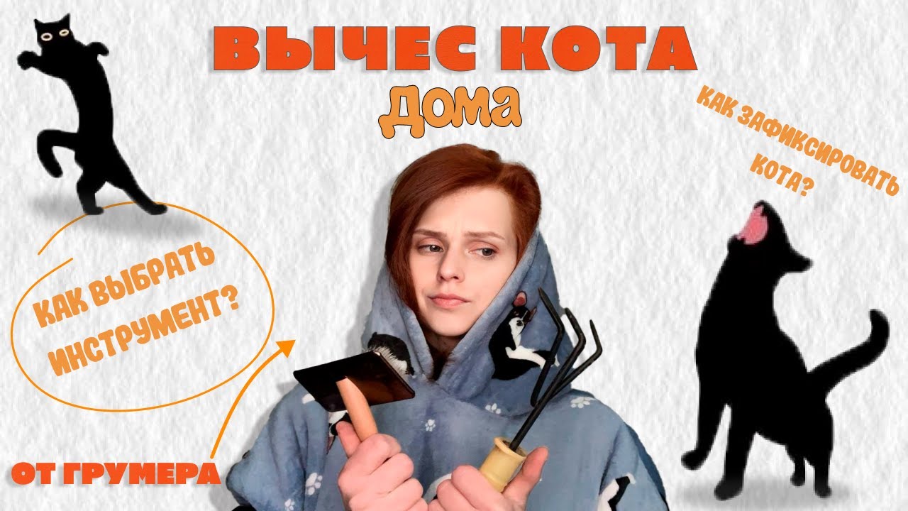 Рассказывает грумер | Как вычесать кота? как выбрать расческу для кота? как зафиксировать?