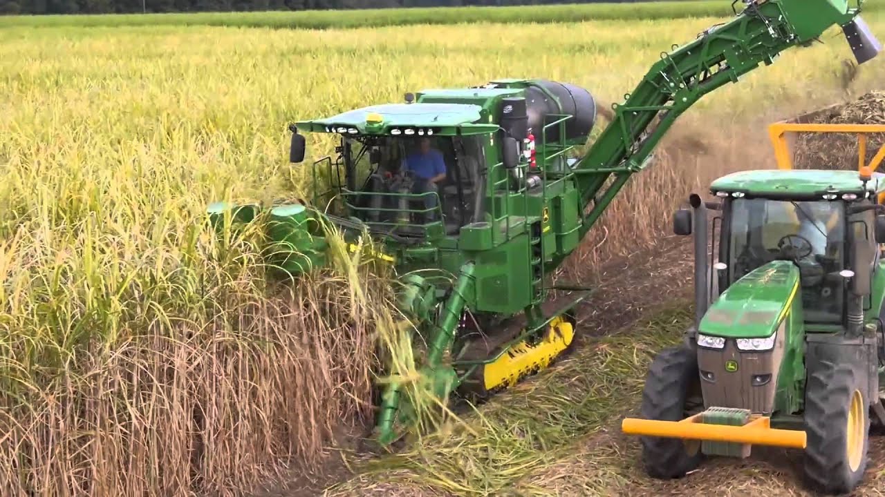 CH 570 SugarCane Harvester Thai