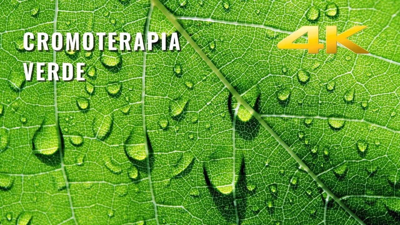 Хромотерапия зеленого света 💚 баланс, спокойствие, физическое и умственное расслабление