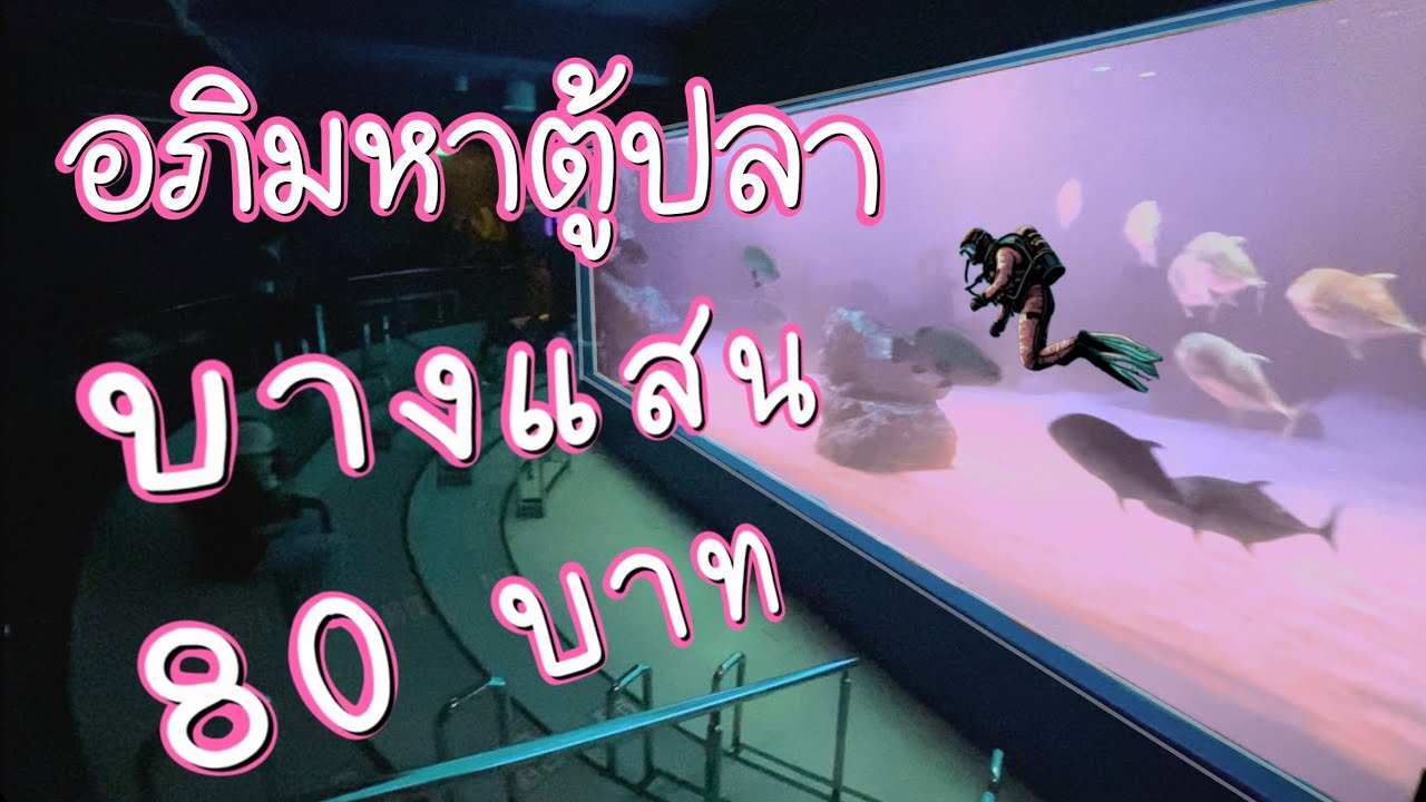 อควาเรียมบางแสน ค่าเข้า 80 บาท | สถาบันวิทยาศาสตร์ทางทะเล มหาวิทยาลัยบูรพา