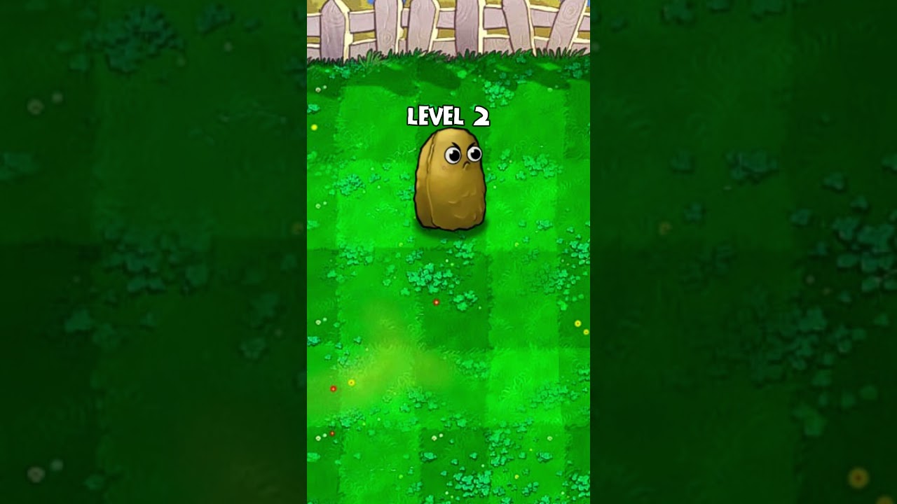 Tall-nut Evolution (PVZ) #pvz