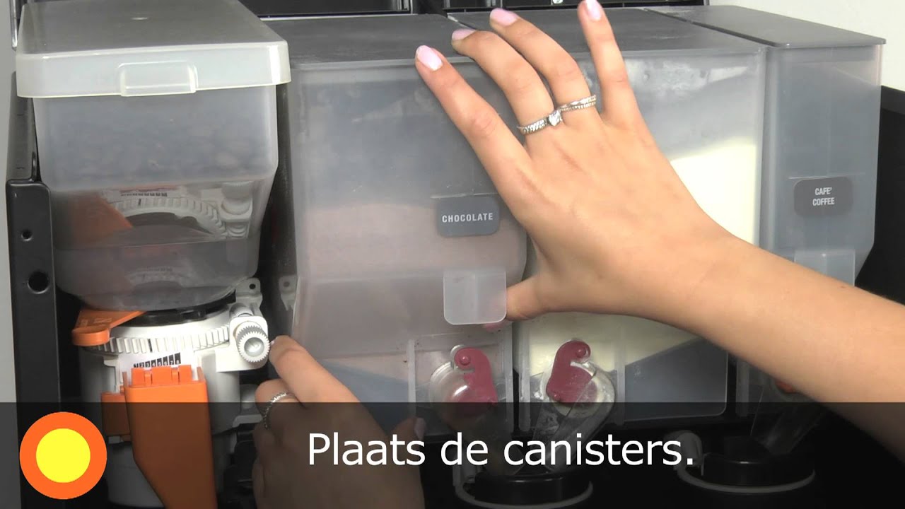 Rheavendors Cino XS Grande Dutch