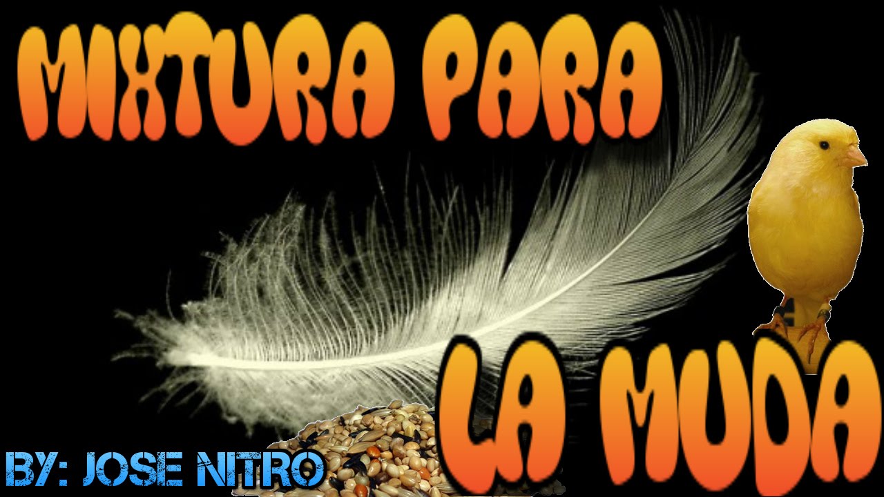 MIXTURA PARA LA MUDA DE  CANARIOS