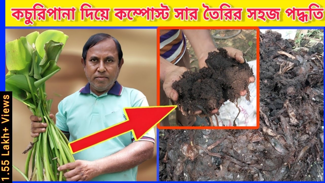 কচুরিপানা দিয়ে কম্পোস্ট সার তৈরির সহজ পদ্ধতি - Compost Fertilizer - PIJUSH MALLICK