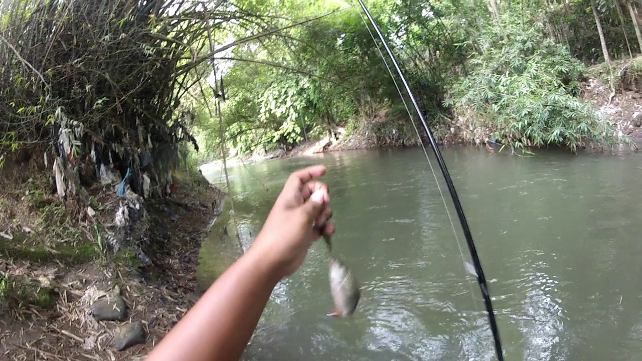 Minnow test : Masu Masters 38s | Mancing Hampala Jogja
