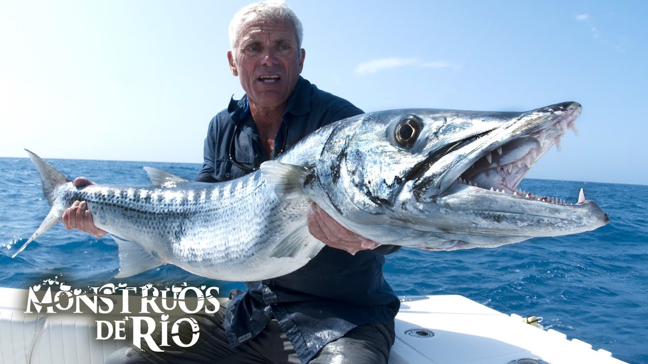 Cabeza de Navaja: Corta Carne y Destroza Huesos | T8 E01 | Monstruos de Río