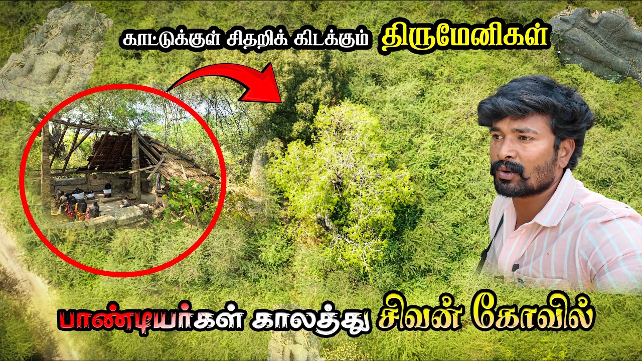 😱😲🙇‍♂️சிவன் காட்டுக்குள்ளே தெய்வீக அமைதி இயற்கையின் ஓசை...