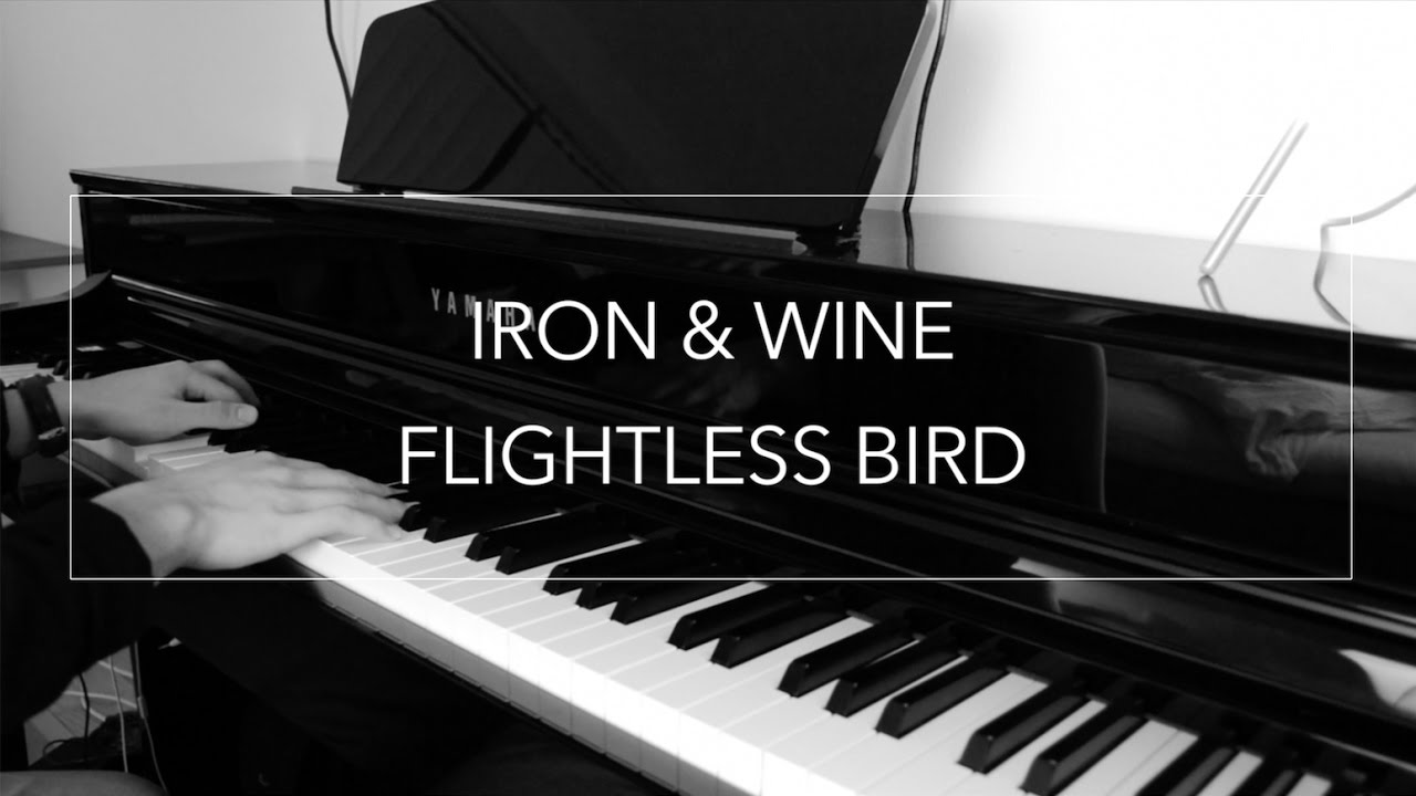 Flightless Bird, American Mouth - Iron & Wine (Instrumental klaver af Martin Gislason)