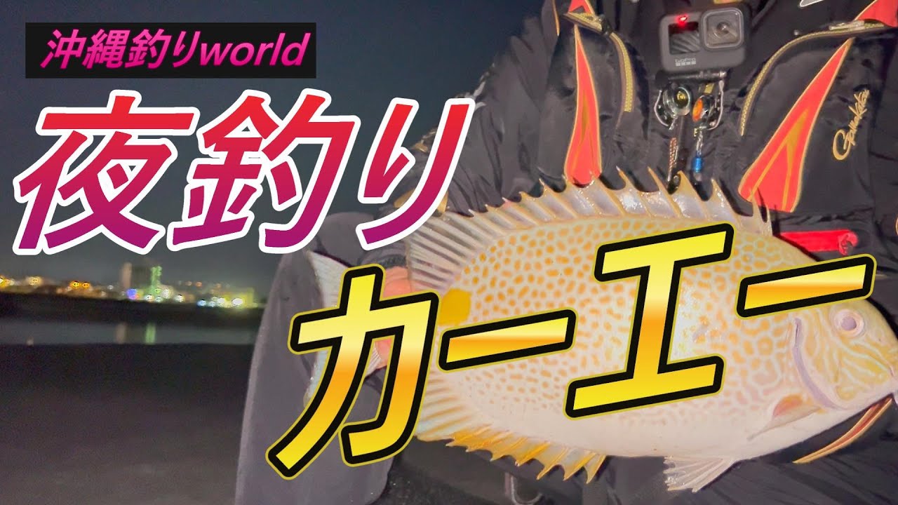 【沖縄フカセ釣り】月明りの下のカーエー釣り。よく見えます（笑）　　　　【６３】