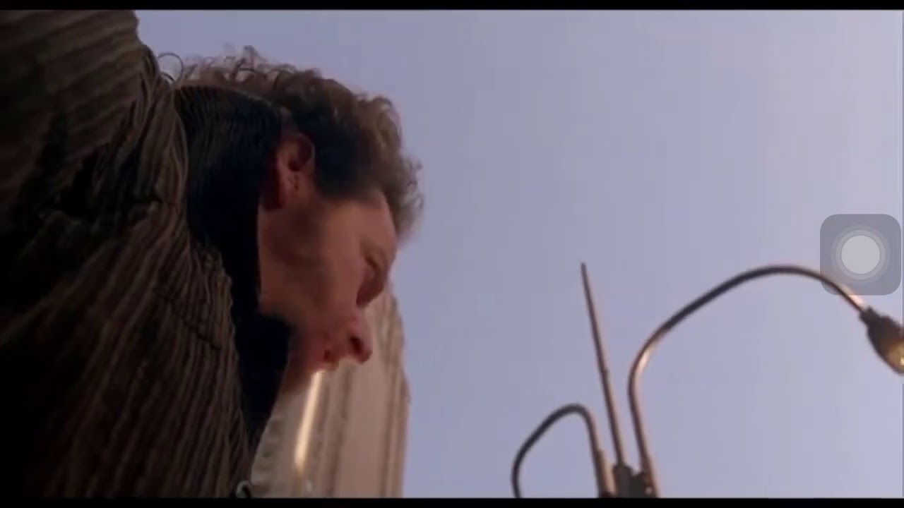 Home Alone 2:Lost in New York Marv and Harry got punched