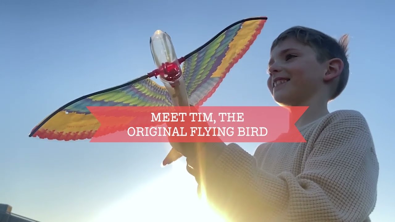 Tim The Original Flying Bird Tiger Tribe