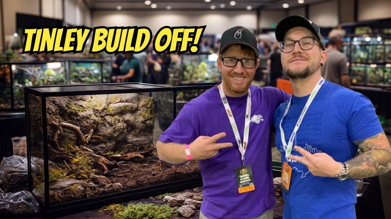 Tinley Build Off + Building Your Own Enclosures With Preston Of Natures In A Nutshell