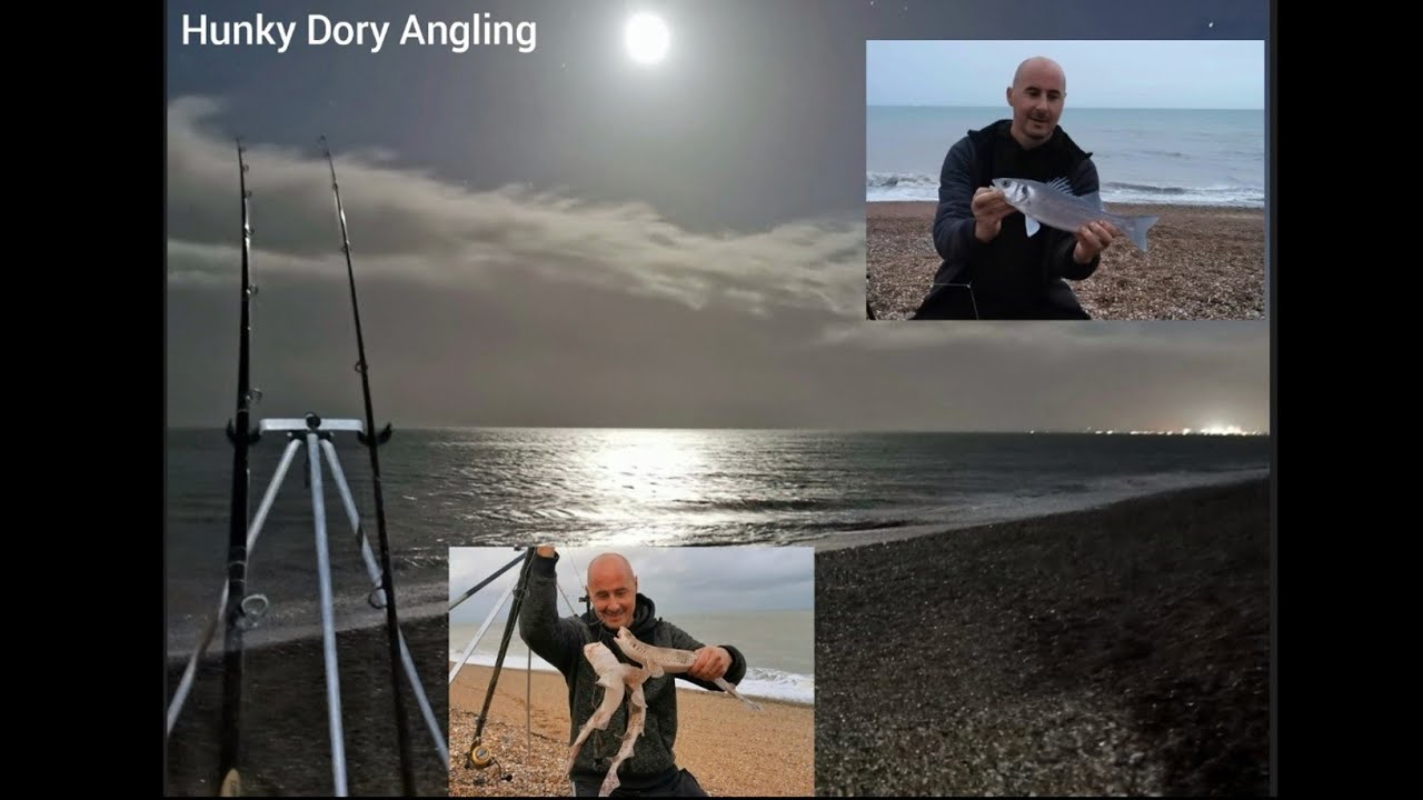 Return sea fishing trip to Dungeness boats - Move later to pirate springs bass/dogs/whiting/poor cod