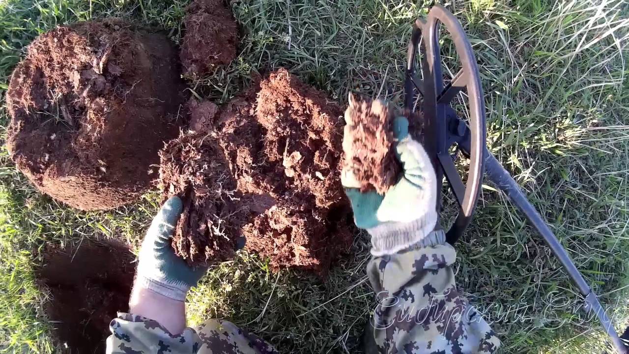 Коп у озера Minelab Explorer SE Professional с катушкой DETECH Ultimate 13 DD