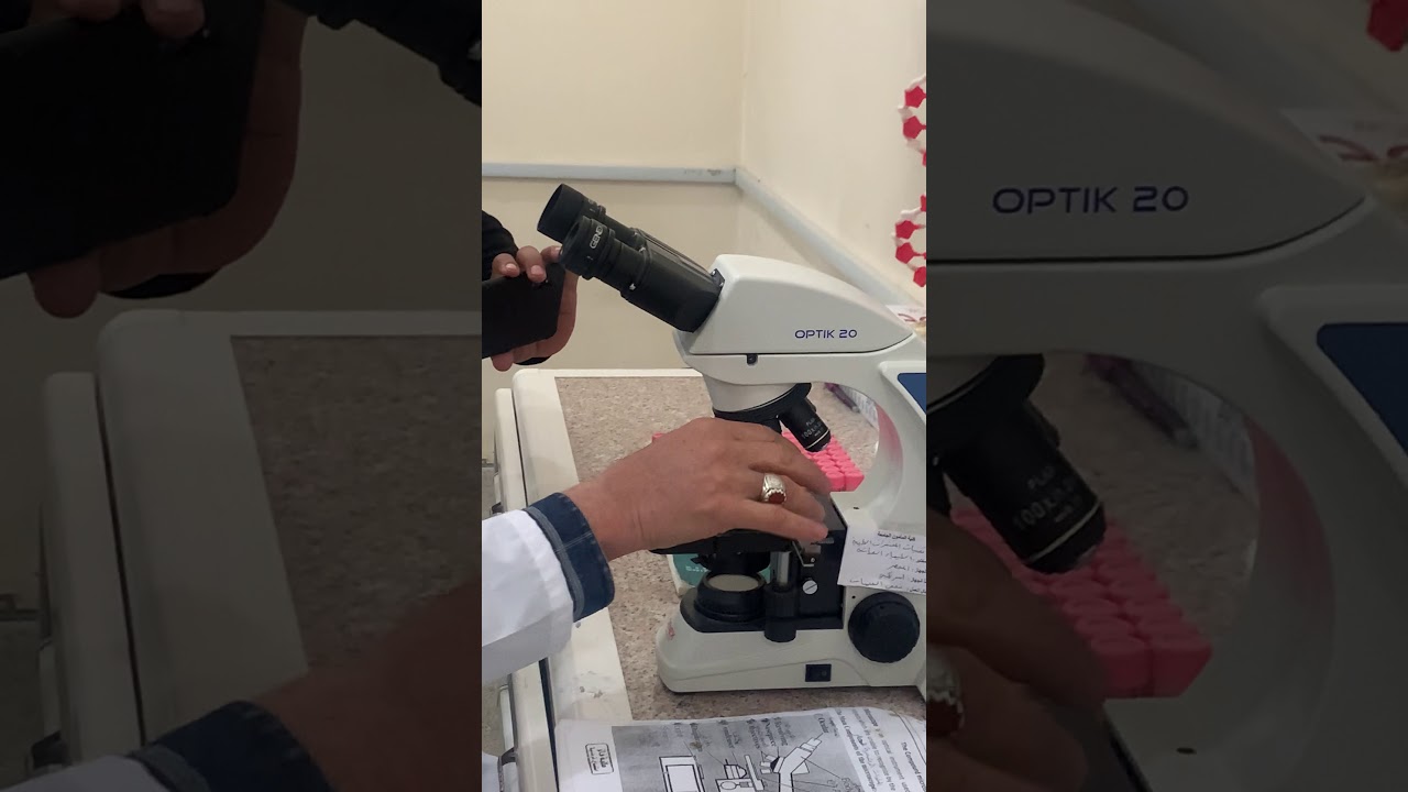 محاضرة العملي الاول/اجزاء المجهر 🔬