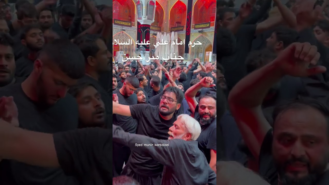 Mir hasan mir // Matam krte hue #mirhasanmir #mirhasanmirnoha  #mirhasanshort #imamali #najaf