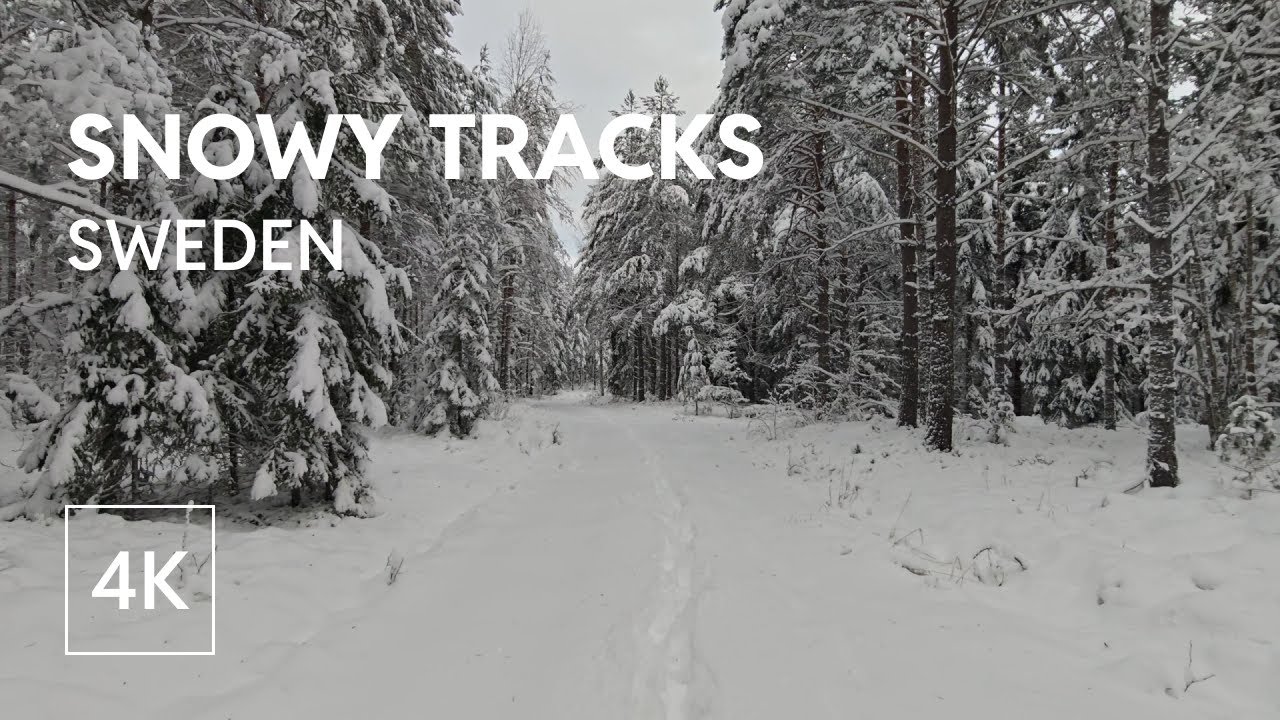 4K Nordic Virtual Winter Walk in Deep Snow – Sweden