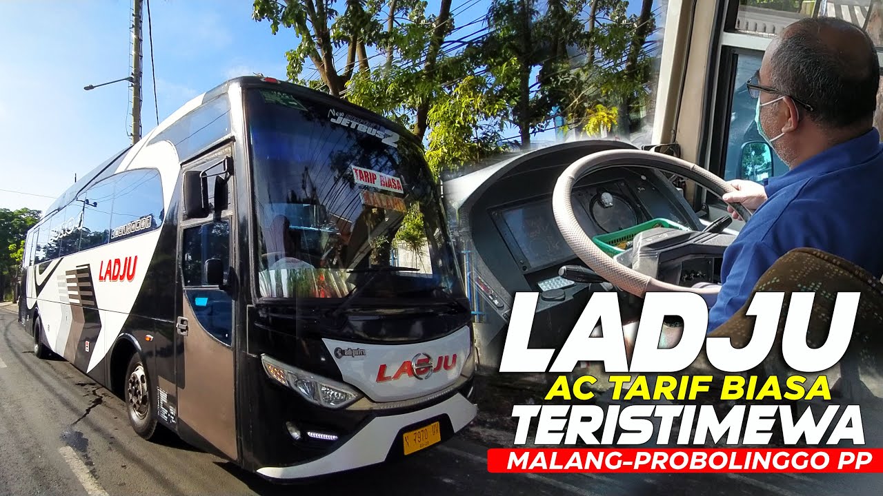 LADJU ATB TERISTIMEWA..❗❗Bus Malang-Probolinggo PP Ini Jarang Terekspose..