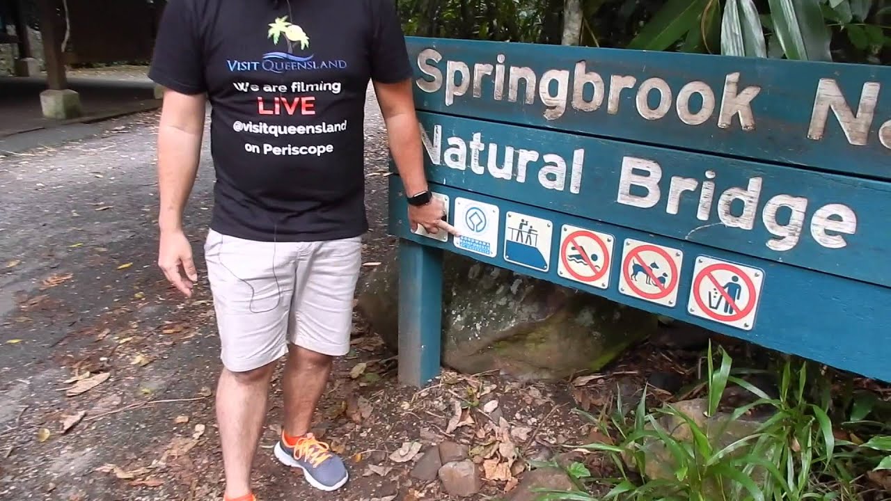 Visit Queensland Rainforest Trailer