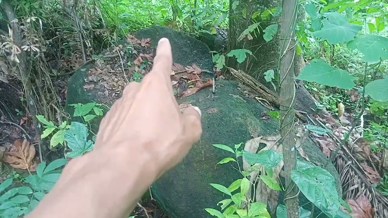 TOTOONG NAKUHANAN NG ISANG SUNDALO NOONG 1992