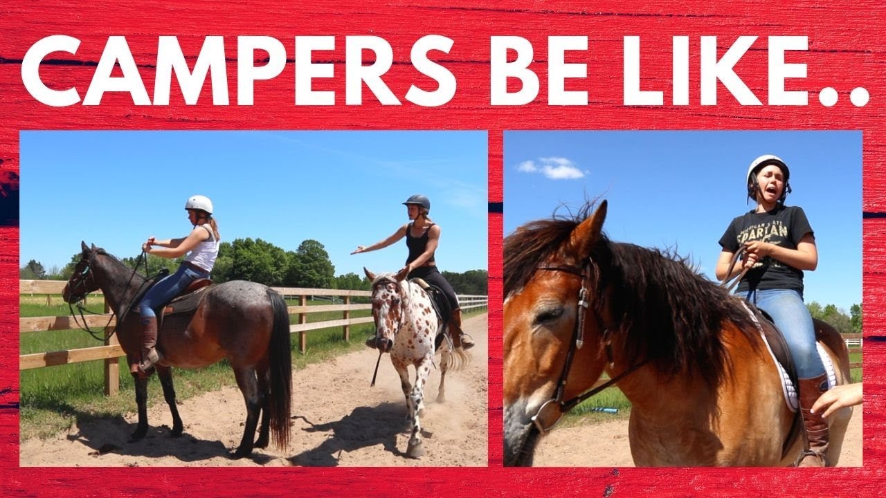 Types of Equestrians at Horse Camp🐴