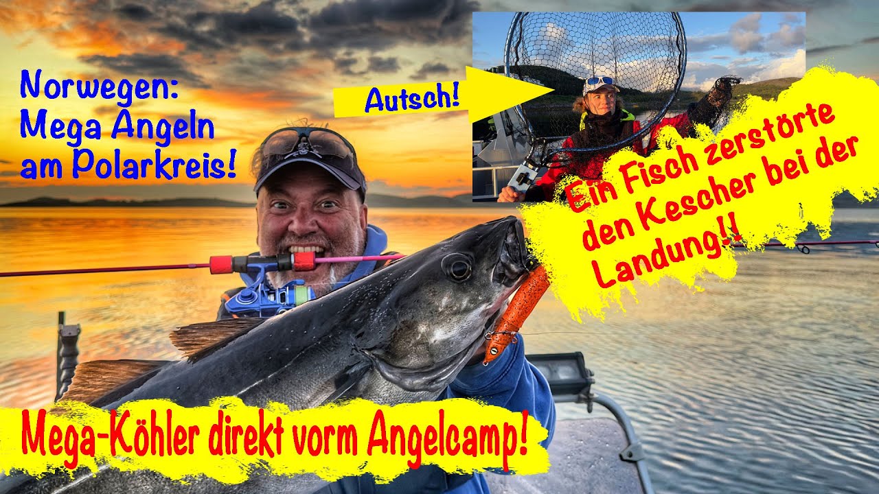 Norwegen: mega angeln am Polarkreis!
