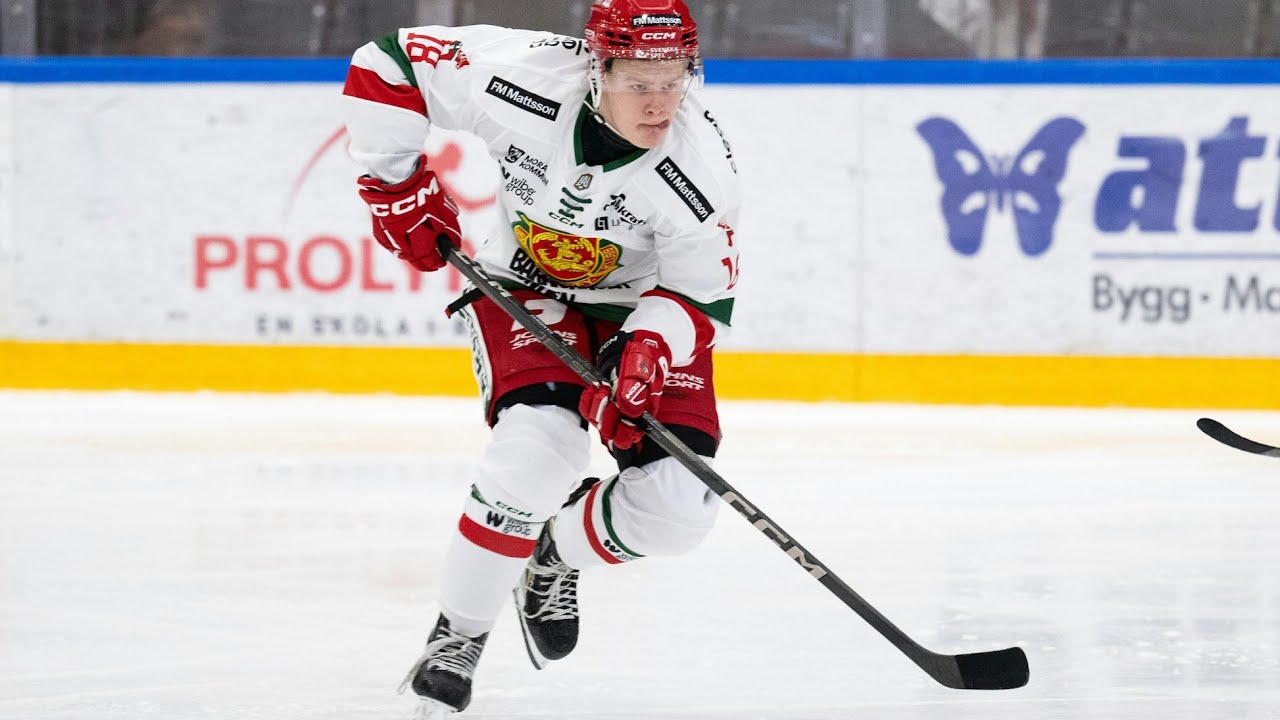 Martin Johnsen - Highlights Mora IK 24/25