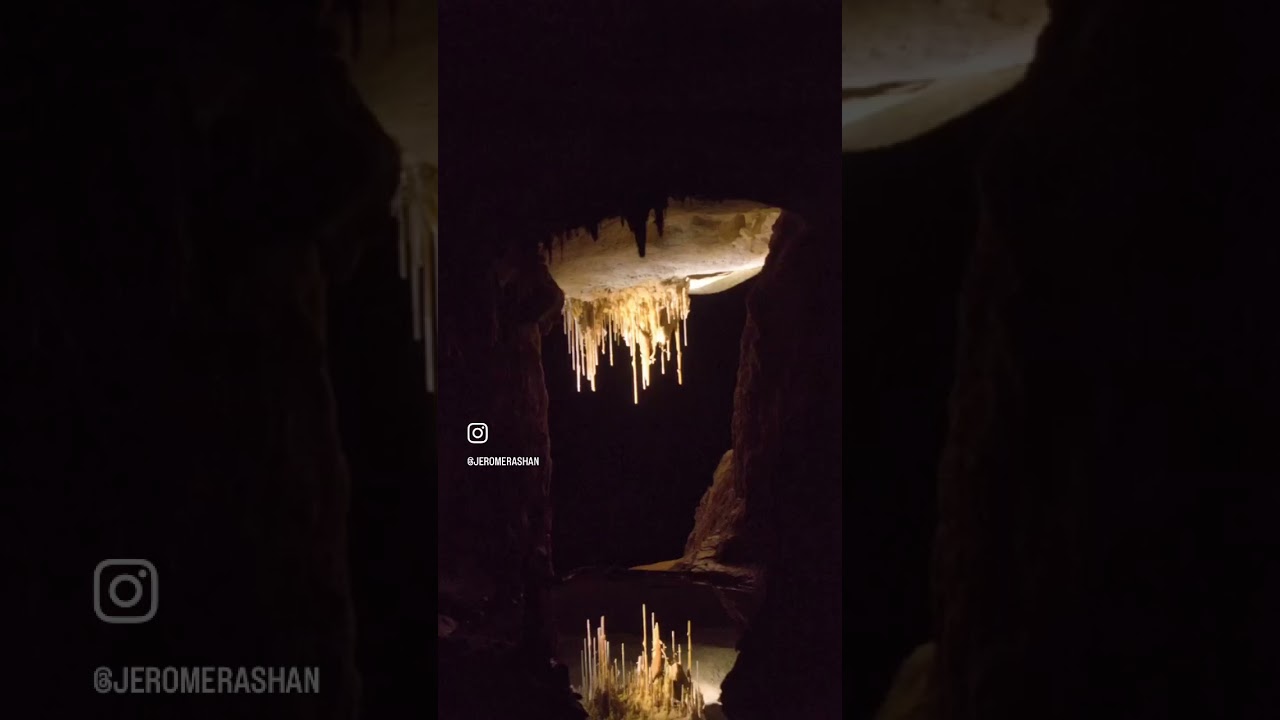 Naracoorte fossils caves
