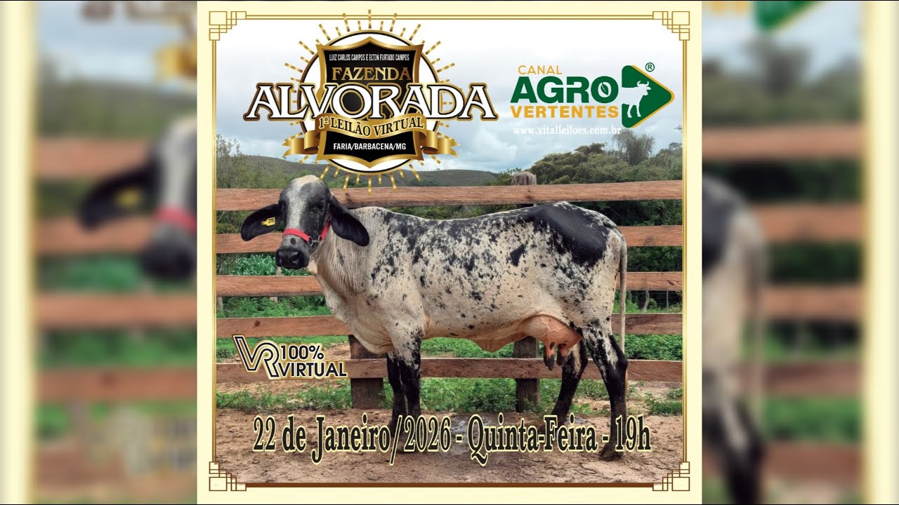1º LEILÃO VIRTUAL FAZENDA ALVORADA - LUÍZ CARLOS CAMPOS E ELTON FURTADO CAMPOS - 22/01/2026