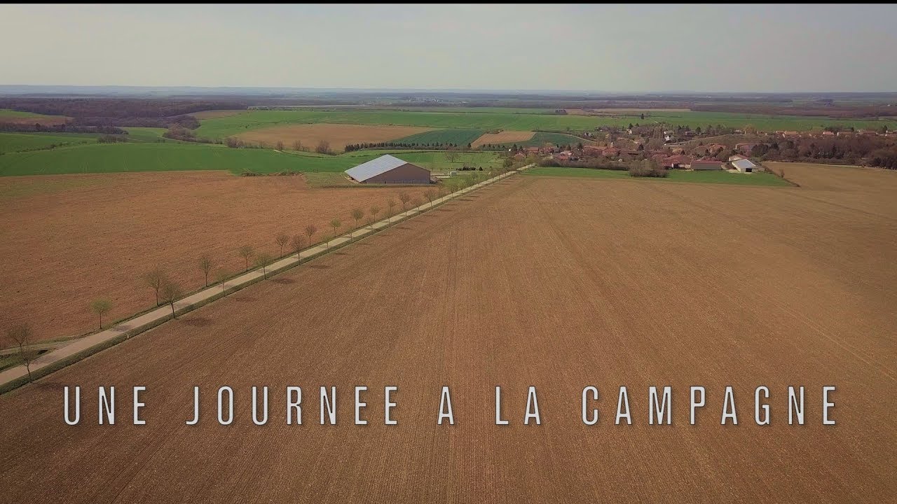Une journée à la campagne