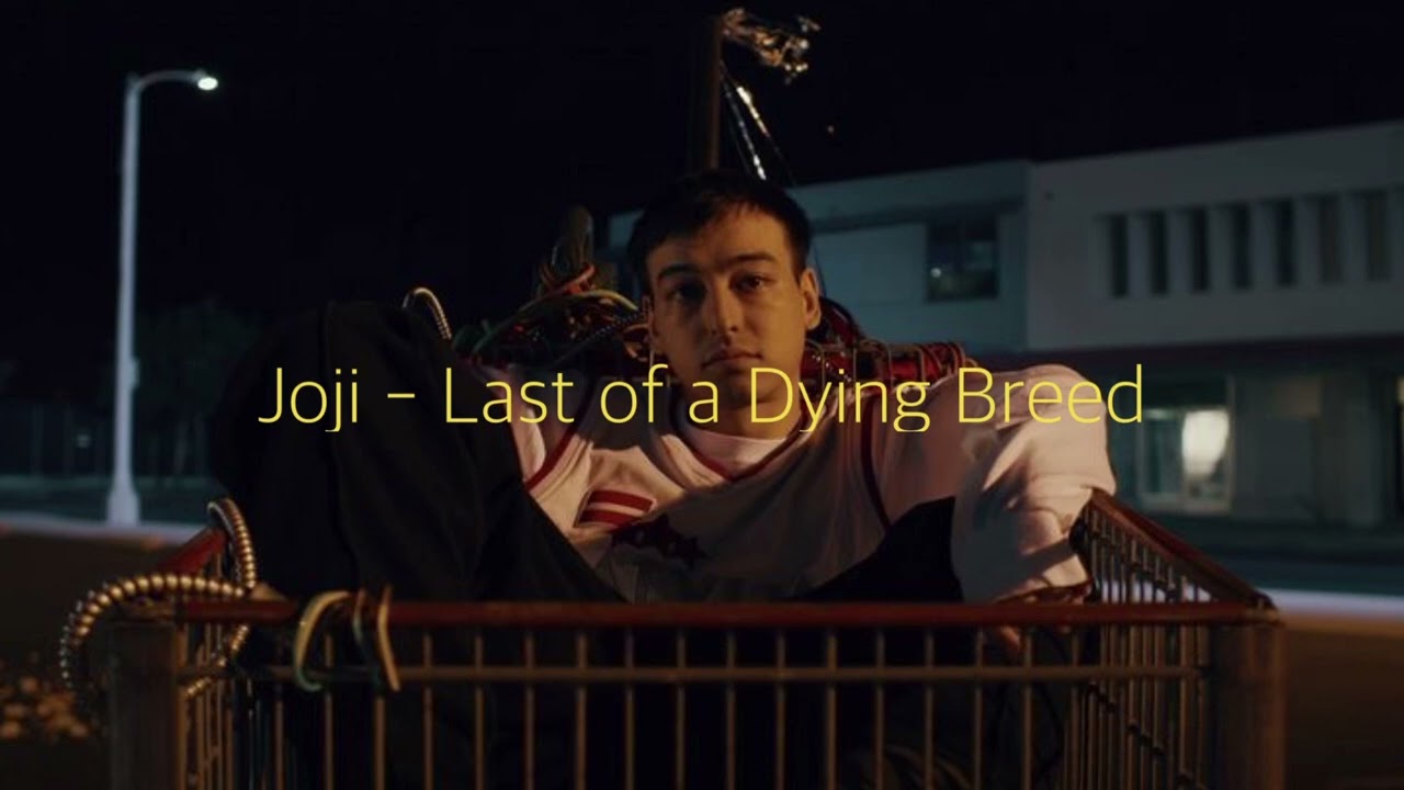 두유 feel 미? : Joji - Last of a Dying Breed (가사/해석)