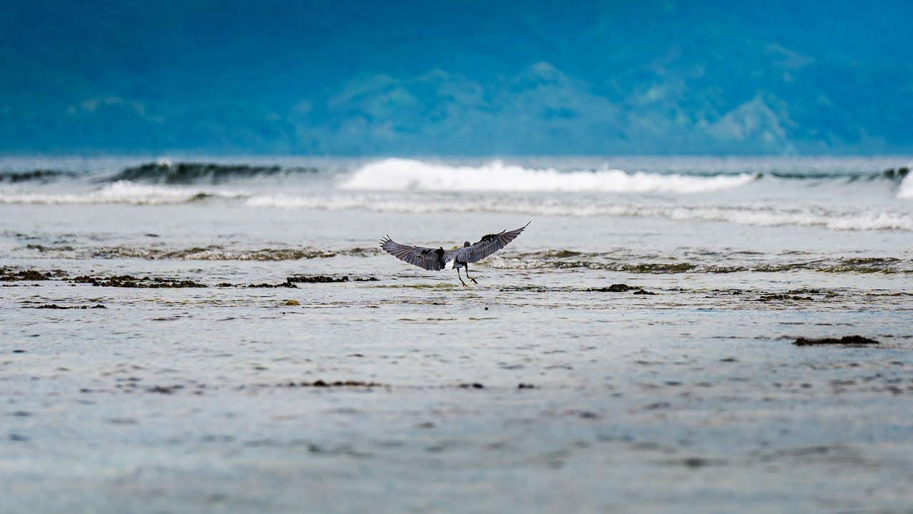 Baler — A Quiet Overnight