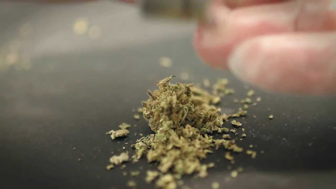 grind that medicine
