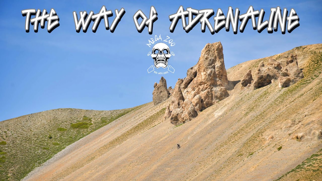 THE POV's #2 - The Way Of Adrenaline