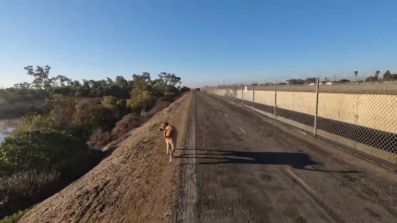 Making Running Videos Until They're Good Part 10 - 10/29/25 34:00@9:35 min/mile pace (feat. Tyson)