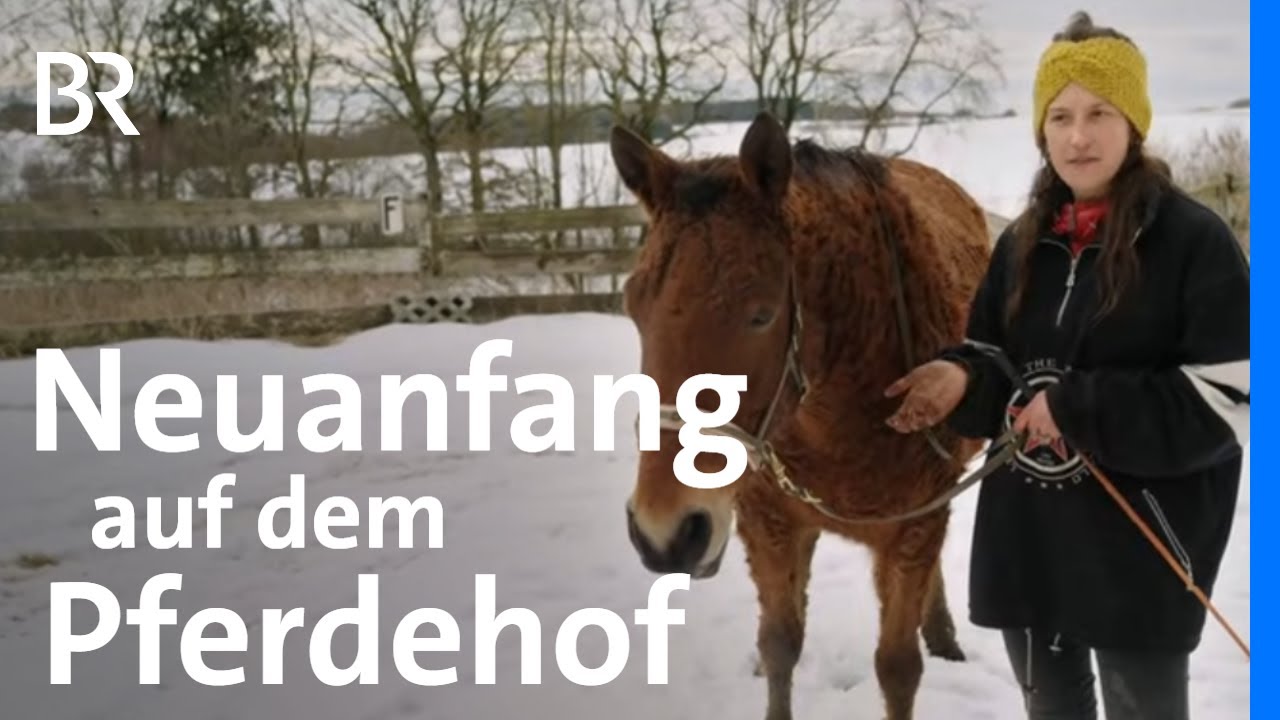 Neuanfang mit tierischem Lebenstraum: Vom Theater auf den Pferdehof | STATIONEN | BR