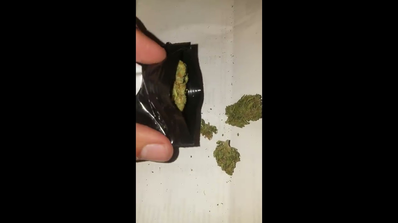Special Sauce and Sour Space Candy from Five Leaf Wellness (Quality cbd hemp flower)