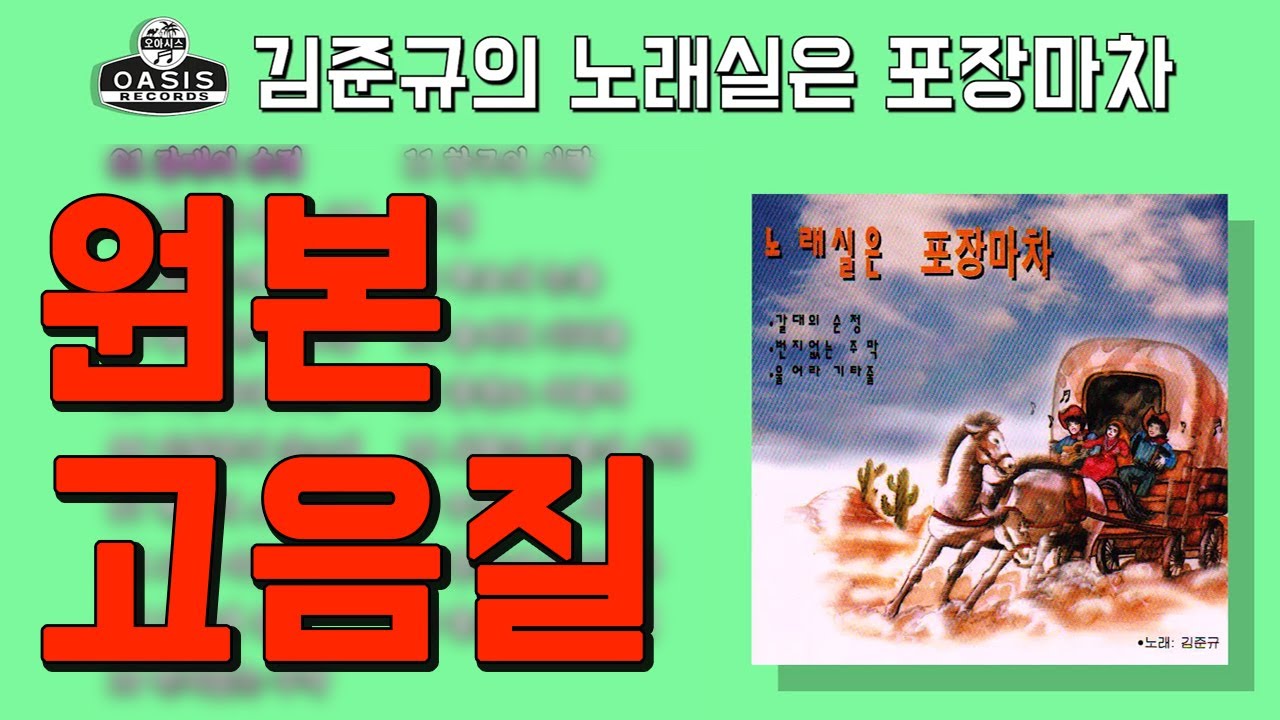 [오아시스레코드]  김준규 (노래실은 포장마차)