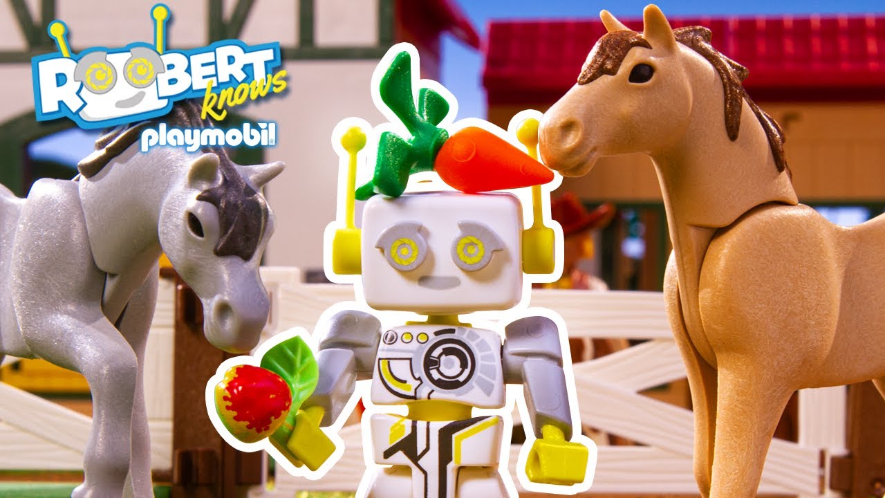 ¿Cómo se aprende a montar a caballo? 🐴 ROBert lo sabe | PLAYMOBIL en Español