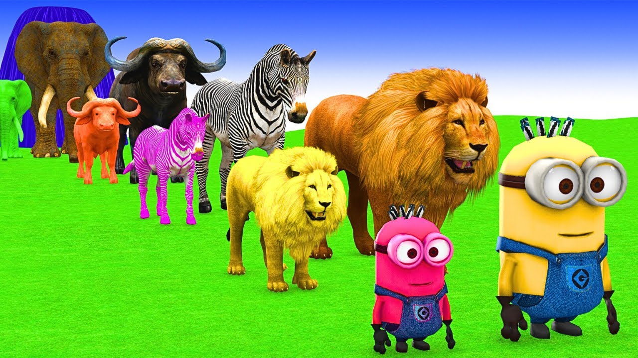 Long Slide Game With Elephant Gorilla Buffalo Hippopotamus Tiger 3d Animal Game Funny 3d Animals