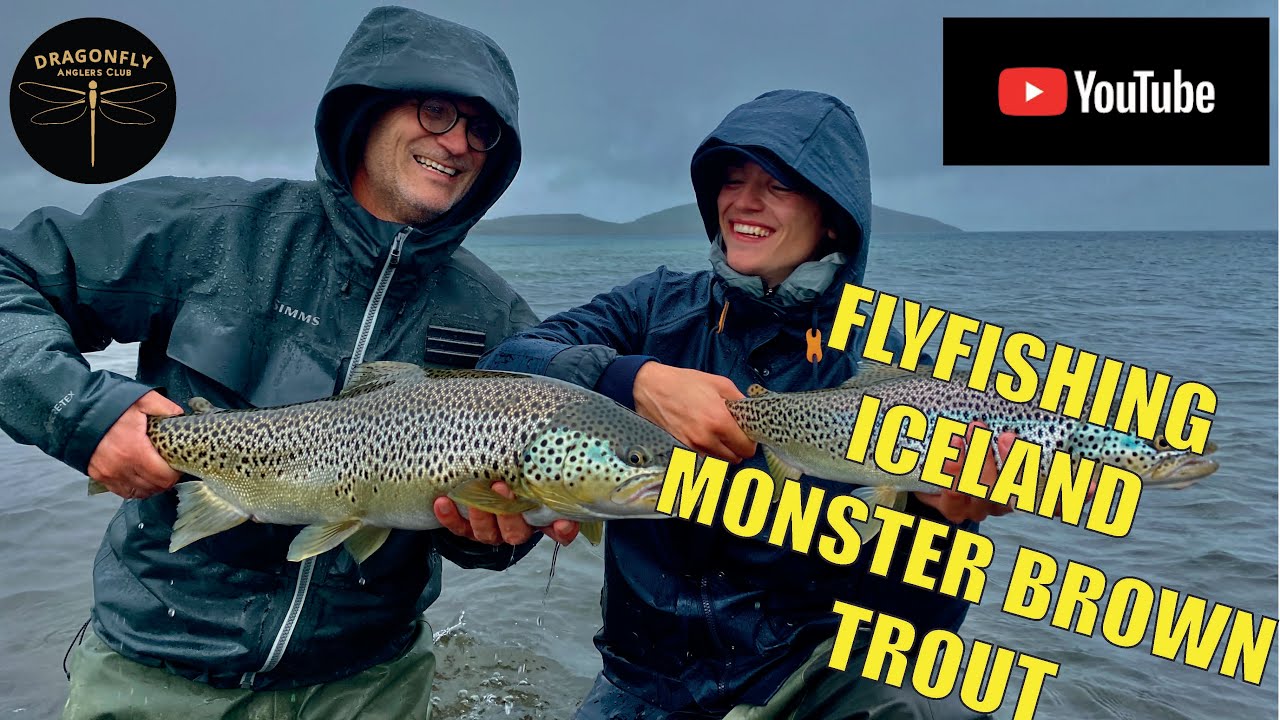 HUGE BROWN TROUT // MONSTER BÆKØRREDER   - Þingvallavatn ICELAND