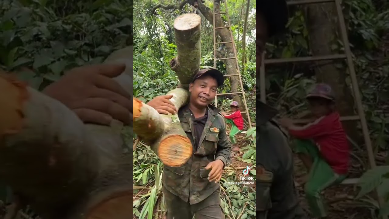 Xe công nông chở củi phần 15