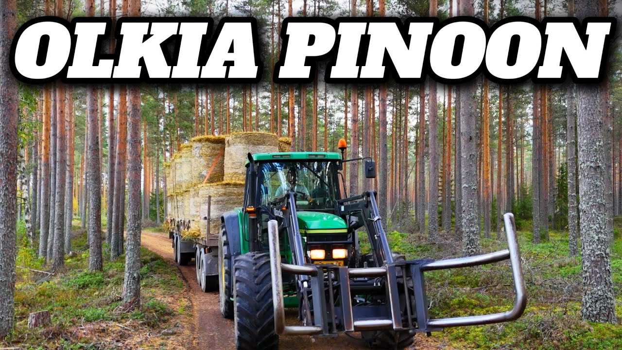 OLKIA PINOON JA FOCUKSELLE VIRTAA