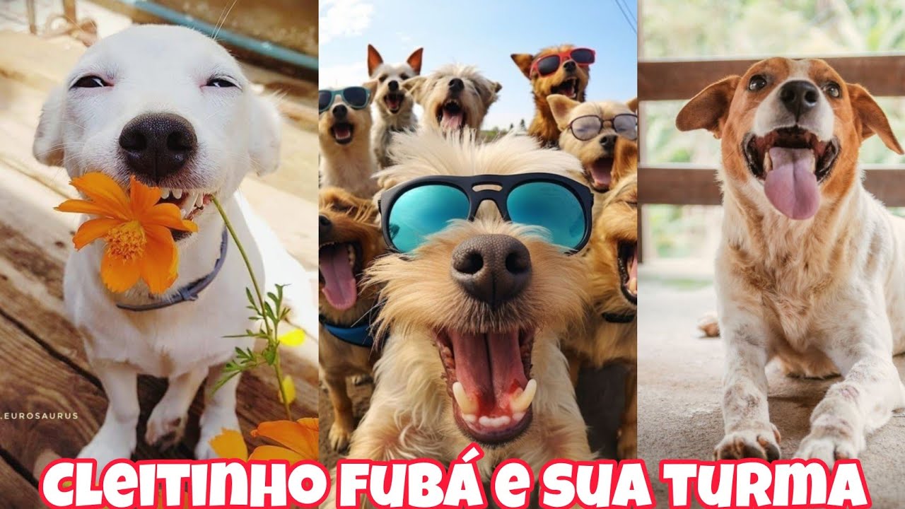 Cleitinho fubá, Negão da 300, Caramelo e sua turma, As melhores Narrativas animal 2025 parte 03