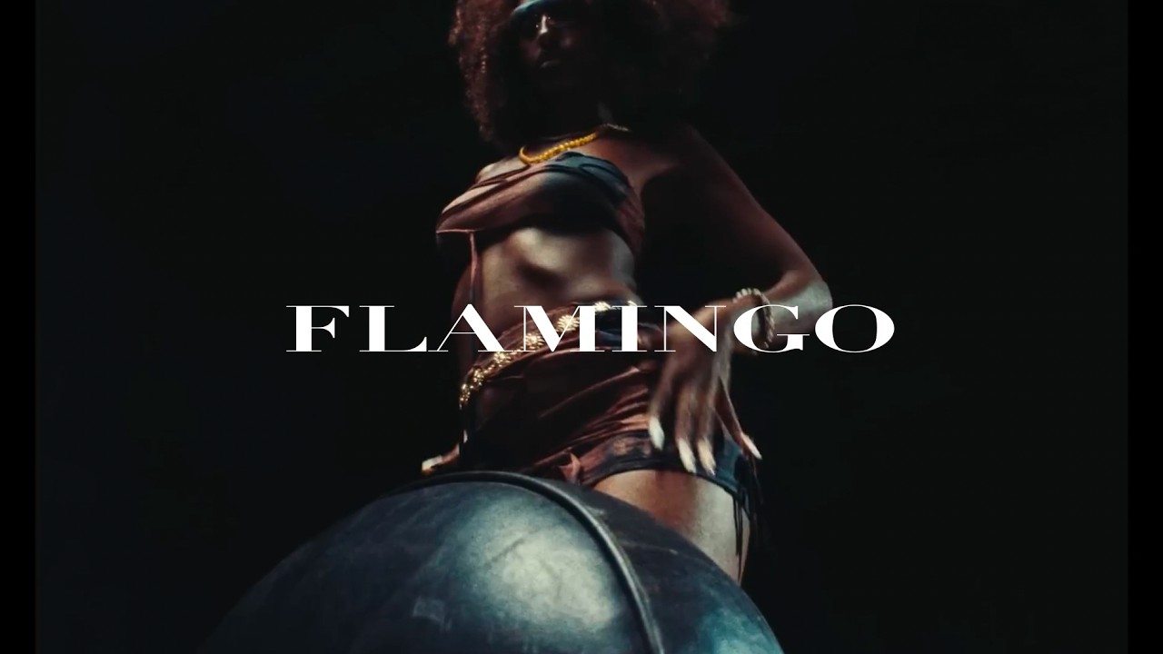 (FREE) Afrobeat x Morad x Rema Type Beat - Flamingo | Latin Guitar Afro Type Beat